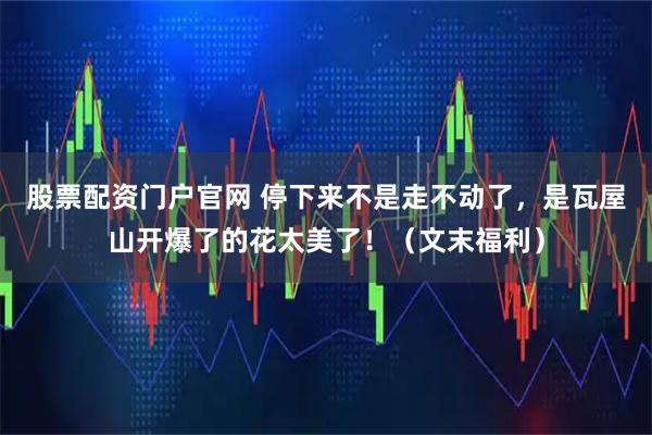 股票配资门户官网 停下来不是走不动了，是瓦屋山开爆了的花太美了！（文末福利）