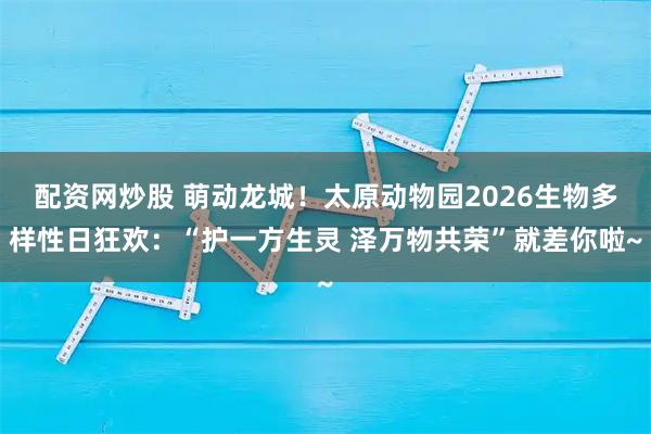 配资网炒股 萌动龙城！太原动物园2026生物多样性日狂欢：“护一方生灵 泽万物共荣”就差你啦~