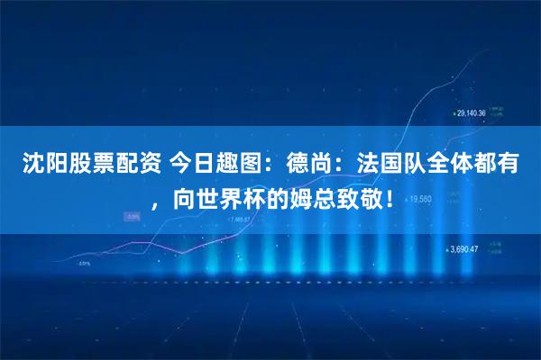 沈阳股票配资 今日趣图：德尚：法国队全体都有，向世界杯的姆总致敬！