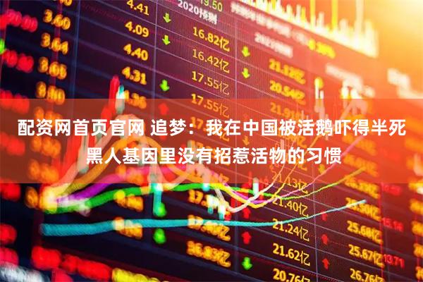 配资网首页官网 追梦：我在中国被活鹅吓得半死 黑人基因里没有招惹活物的习惯